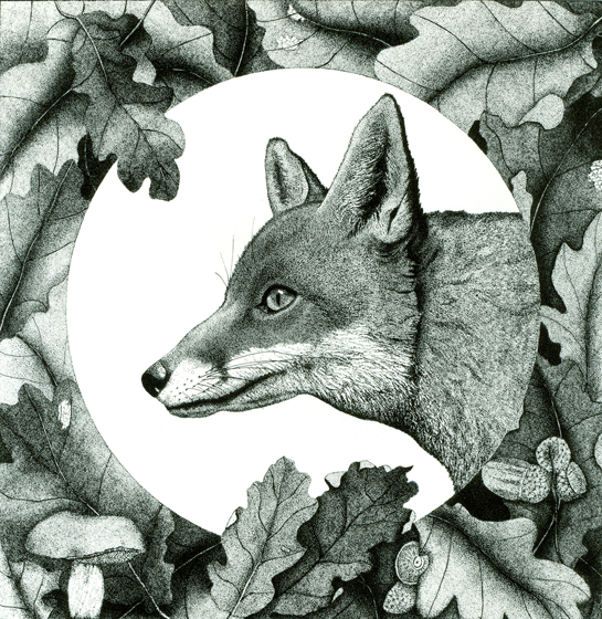 Red Fox Pointillism by Cathy Connolley