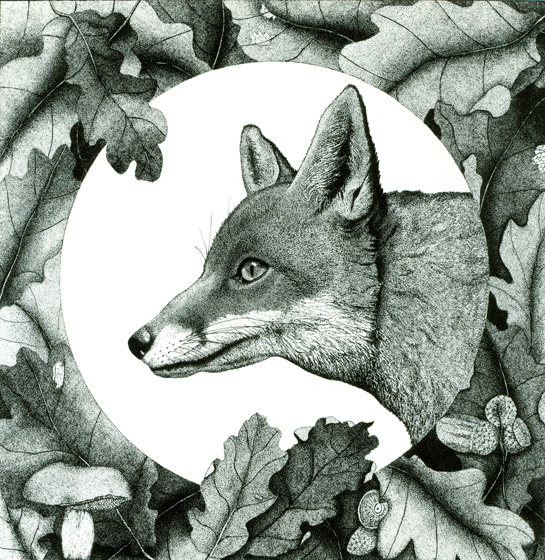 Red Fox Pointillism by Cathy Connolley Red Fox Pointillism by Cathy Connolley