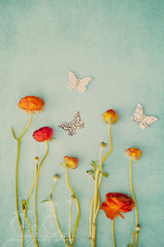 Paper Butterflies in a Ranunculus Garden by Susan Lussier O'Connor