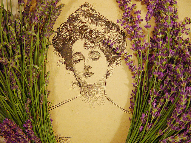 22 Uses For The Lovely Lavender Essential Oil