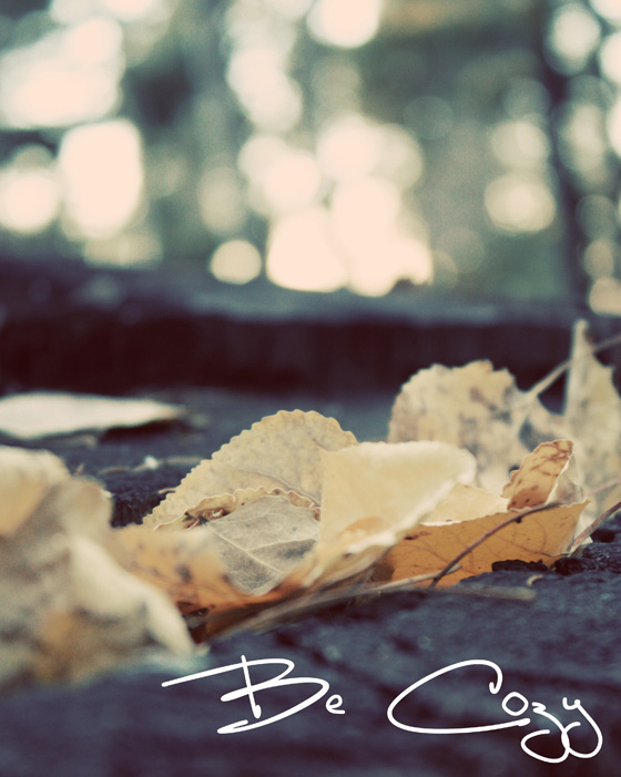 In The Autumn Mood {Music and Feeling}