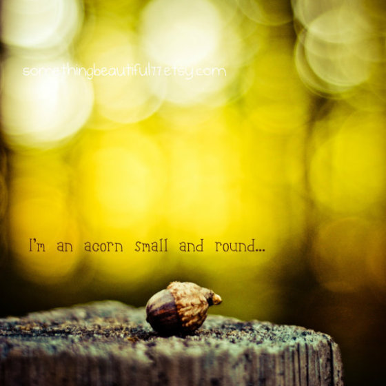 I am an acorn small and round by Jordan Eaks