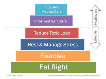 Doterra Wellness Diagram
