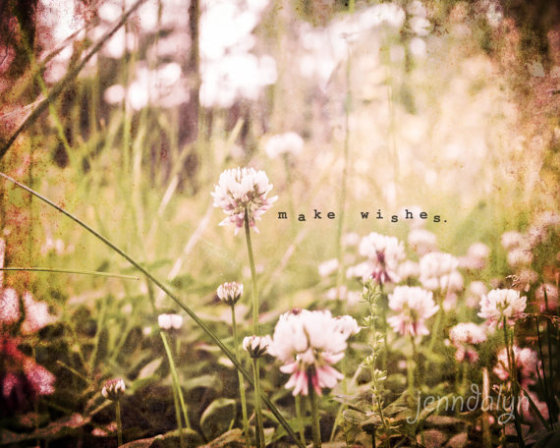 Clover field spring flowers 8 x 10 fine art photograph pink green