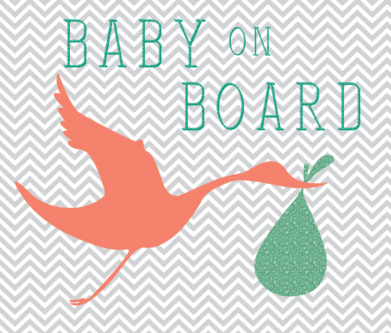 Baby On Board! A Big Announcement