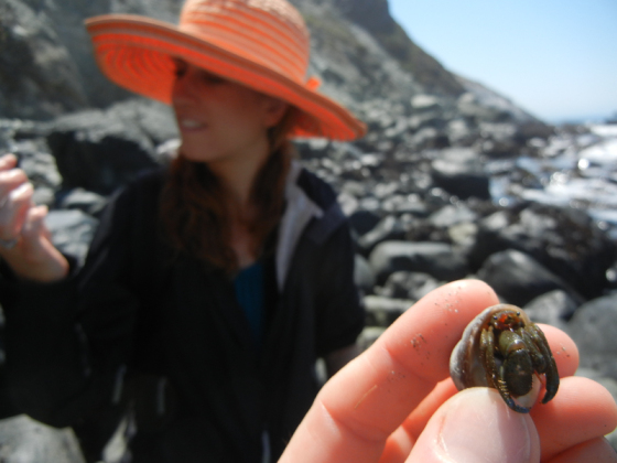 Visiting with the hermit crabs while searching for Jade in Big Sur.