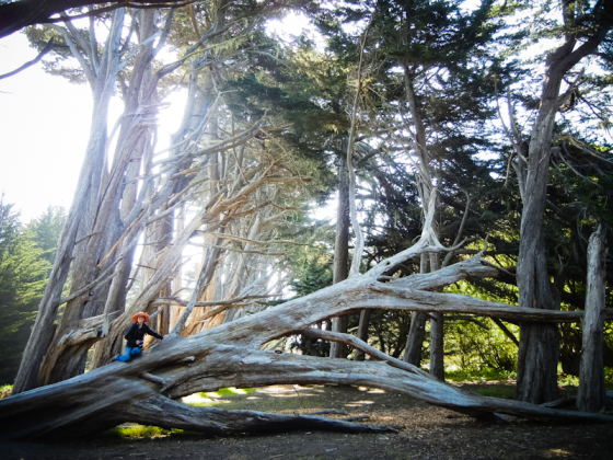 Taking Some Pictures at Moss Beach