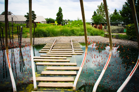 Reliving my landscape architecture fantasies at Cornerstone in Sonoma.