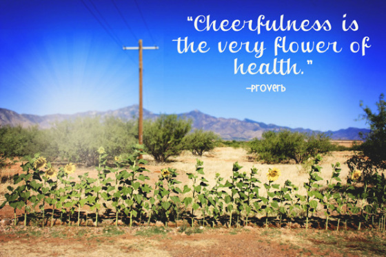 Sunflower Row Quote Cheerfulness Joy Happiness