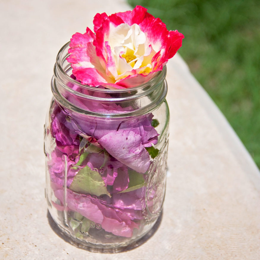 Roses iN A Jar Natural Skincare