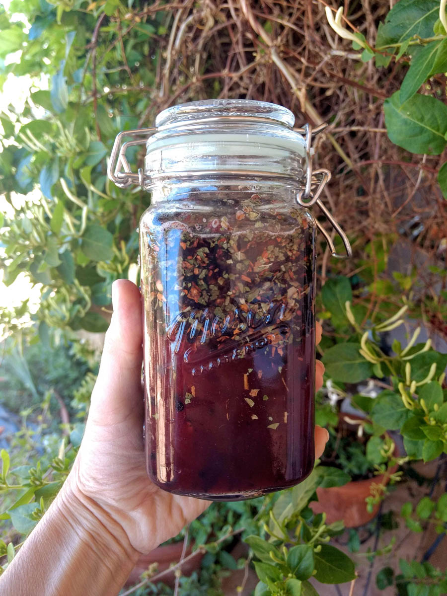 How To Make An Elderberry Oxymel