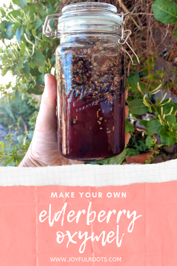 make your own elderberry oxymel, honey and vinegar herb blend, herbalism, medicine, natural living, elderberris