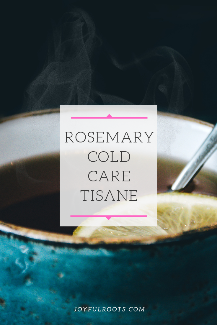 Rosemary Cold Care Tisane, Rosemary for Health, Rosemary Tea Recipe