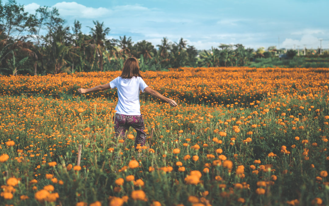 HOW TO FIND YOUR HERBAL ALLY