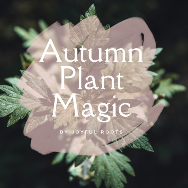 Autumn Plant Magic Mugwort