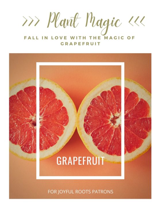 Herbal Monograph Grapefruit Plant Magic Zine