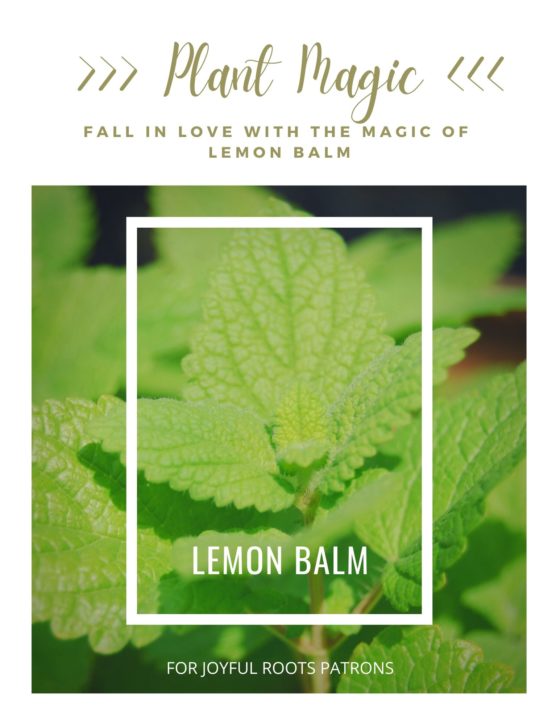 Lemon Balm Plant Magic Herbal Zine Monograph Education