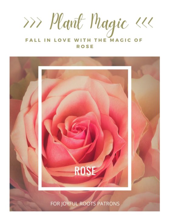 Rose Plant Magic Herbal Wisdom Zine