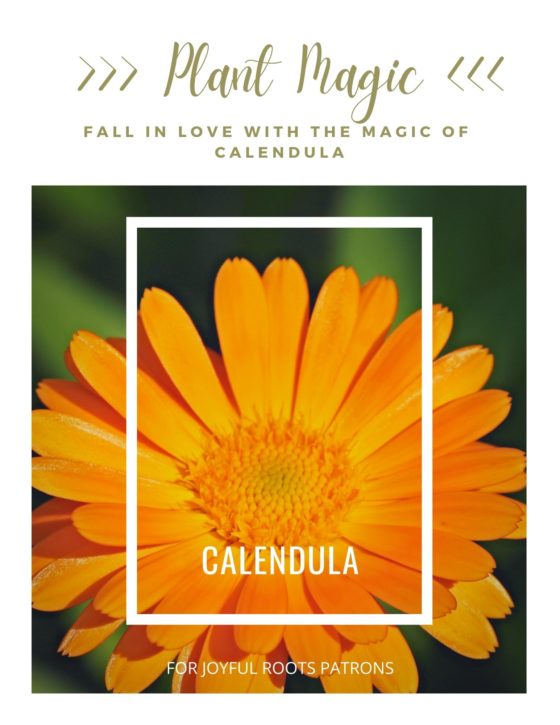 Calendula Plant Magic Herbal Zine