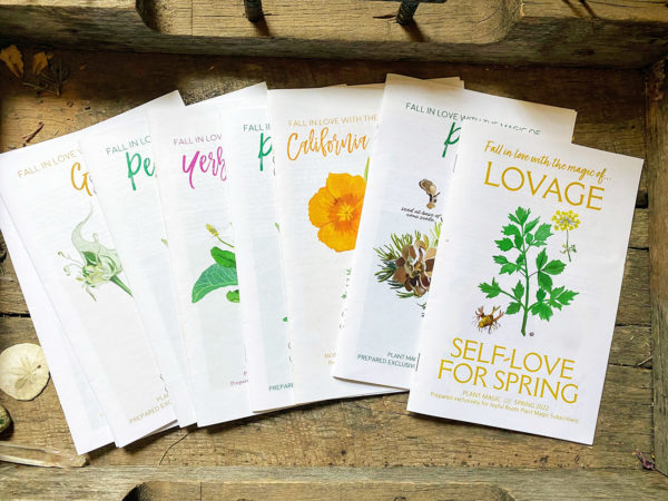 Herbal Zines, Plant Magic, Herbal Lore and Wisdom, Printed Mini Magazine, Monograph