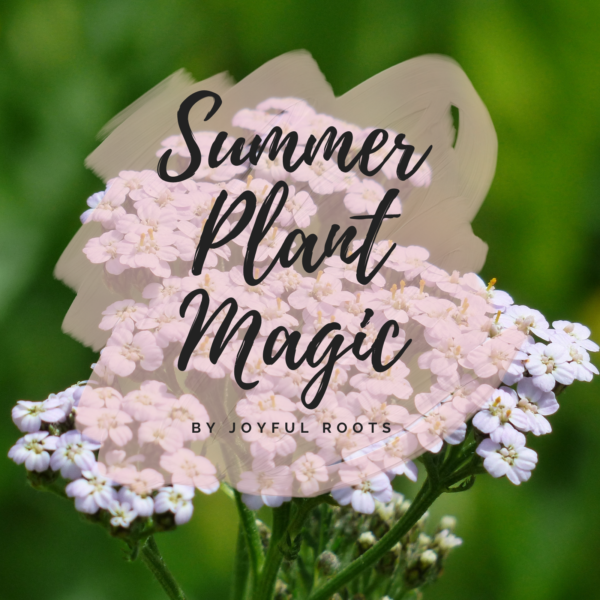 Herbal Zines, Plant Magic, Herbal Lore and Wisdom, Printed Mini Magazine, Monograph