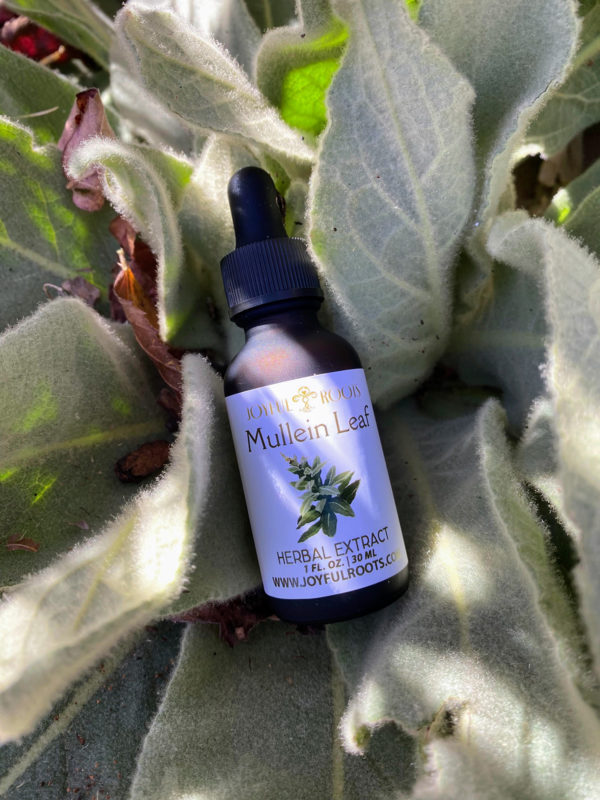 Mullein Tincture Extract