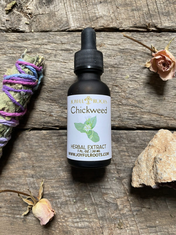 Chickweed Extract