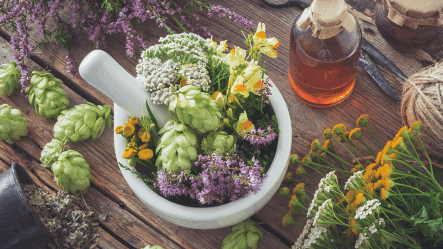 Environmental toxins
Natural Wellness and Health
Botanical
Holistic Living
Detox Herbs