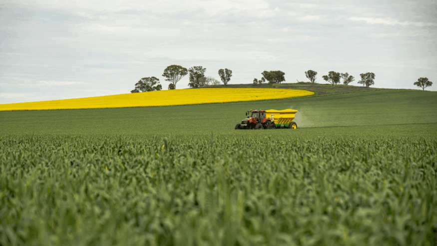 Impacts of Modern Farming on our Health and Ecosystem, Herbalism