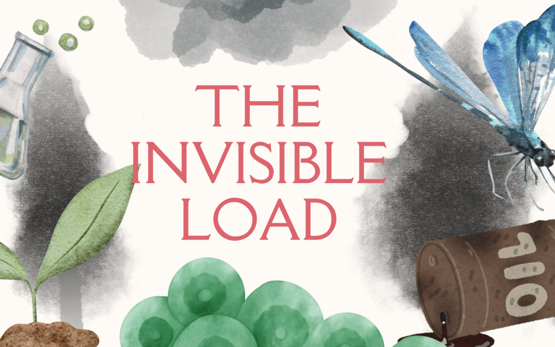 The Invisible Load – How Modern Toxins Affect Health and How to Support Your Body Naturally